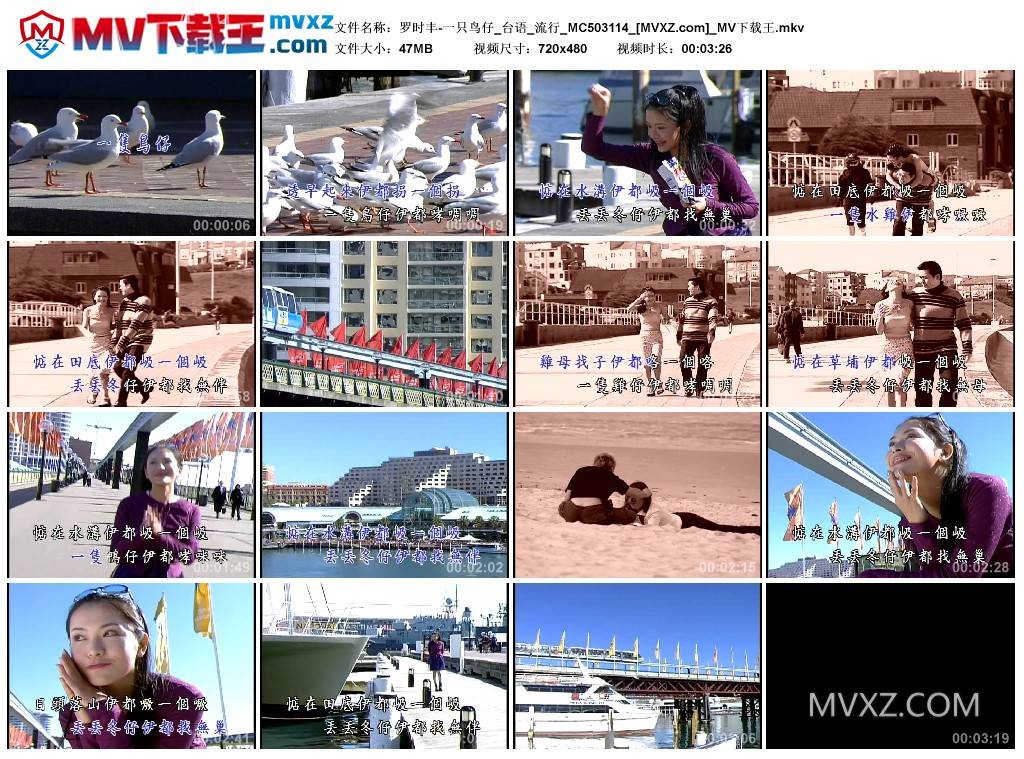 罗时丰-一只鸟仔_台语_流行_MC503114